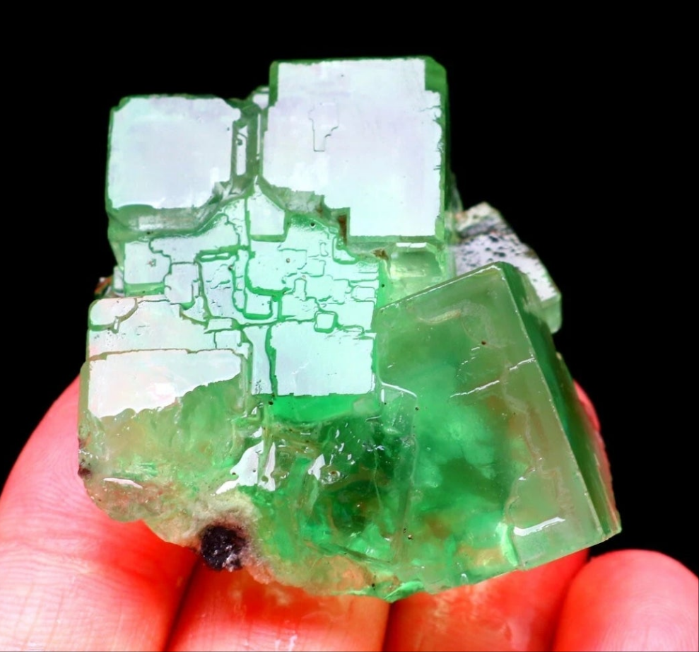 Green Phantom Cubic Fluorite