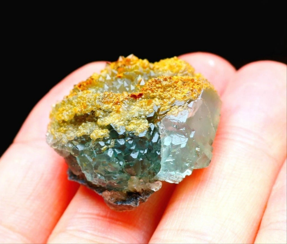 Blue Phantom Cubic Fluorite