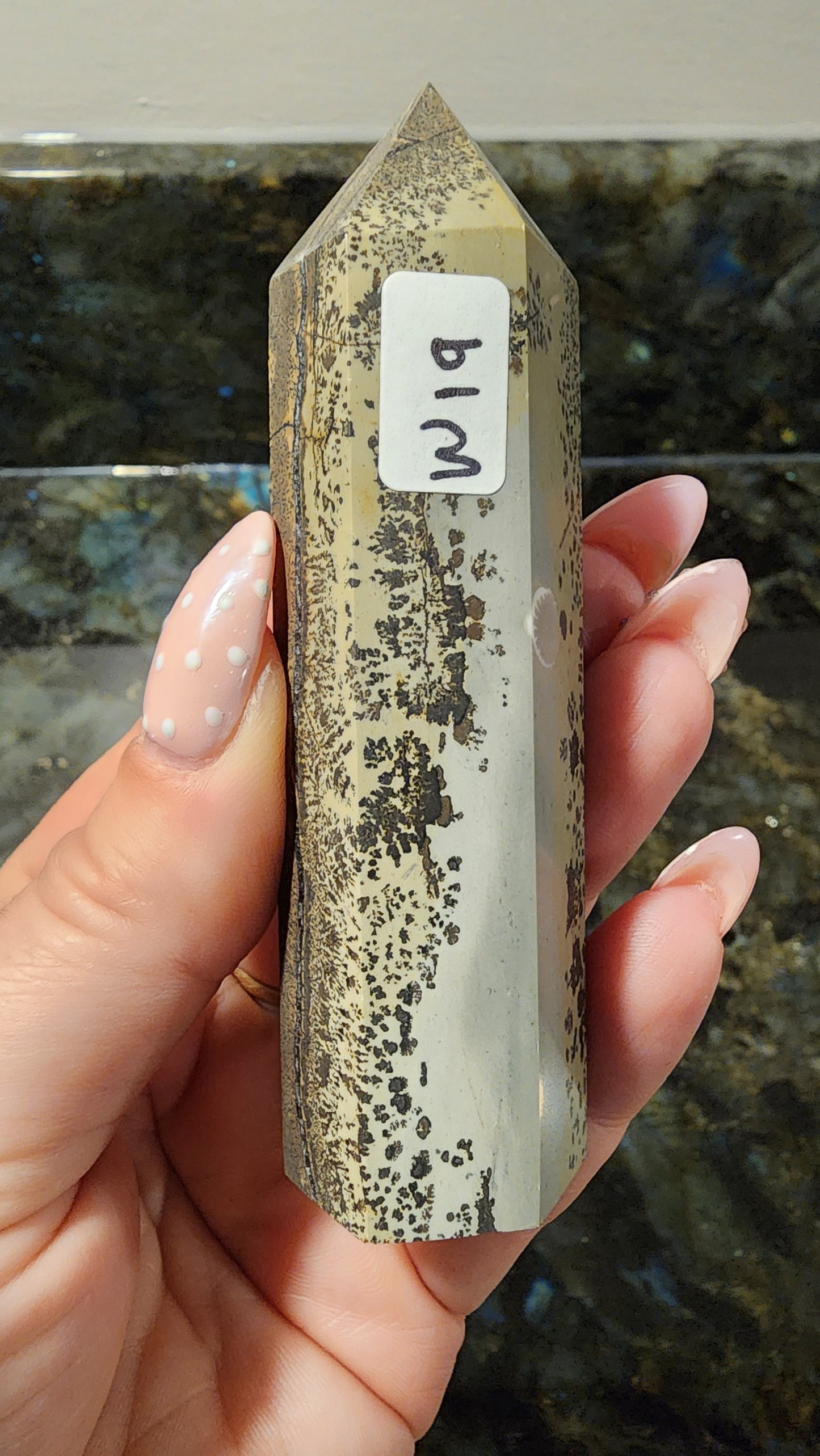 Picture Stone Jasper Tower W19