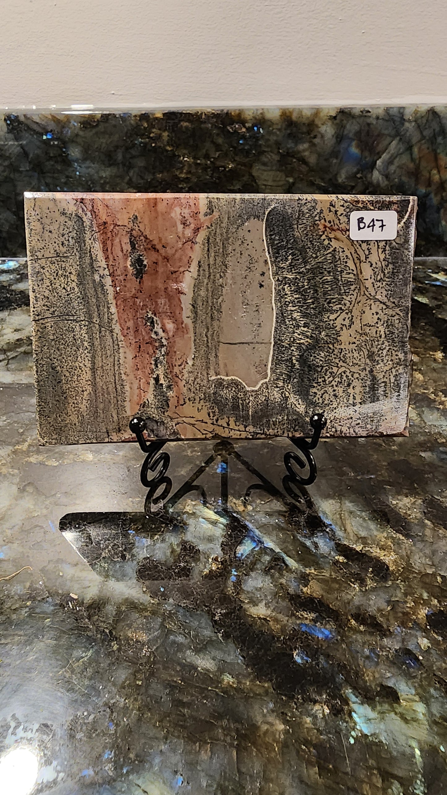 Picture Stone Jasper Slab w Stand B47