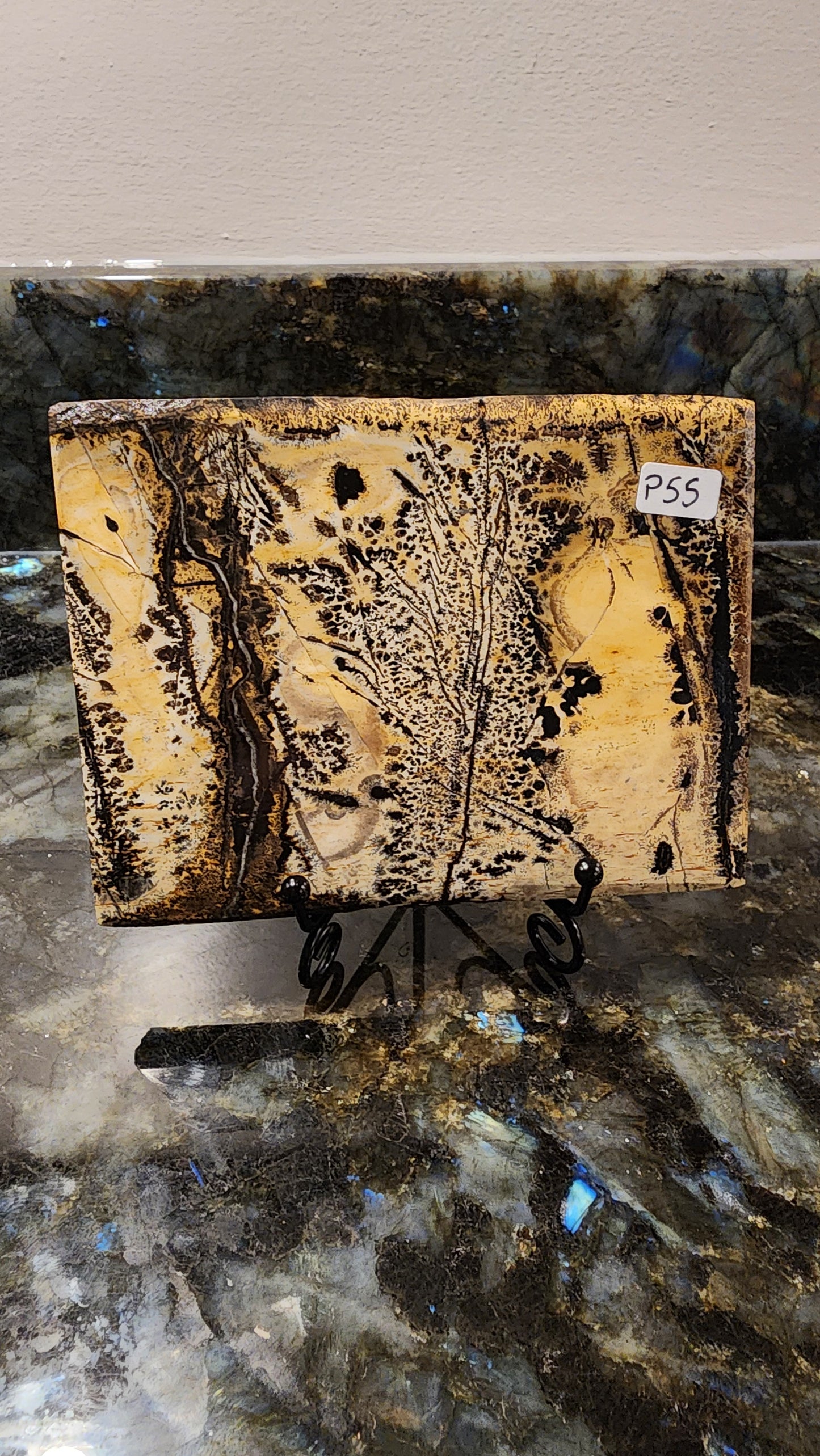 Picture Stone Jasper Slab w Stand P55