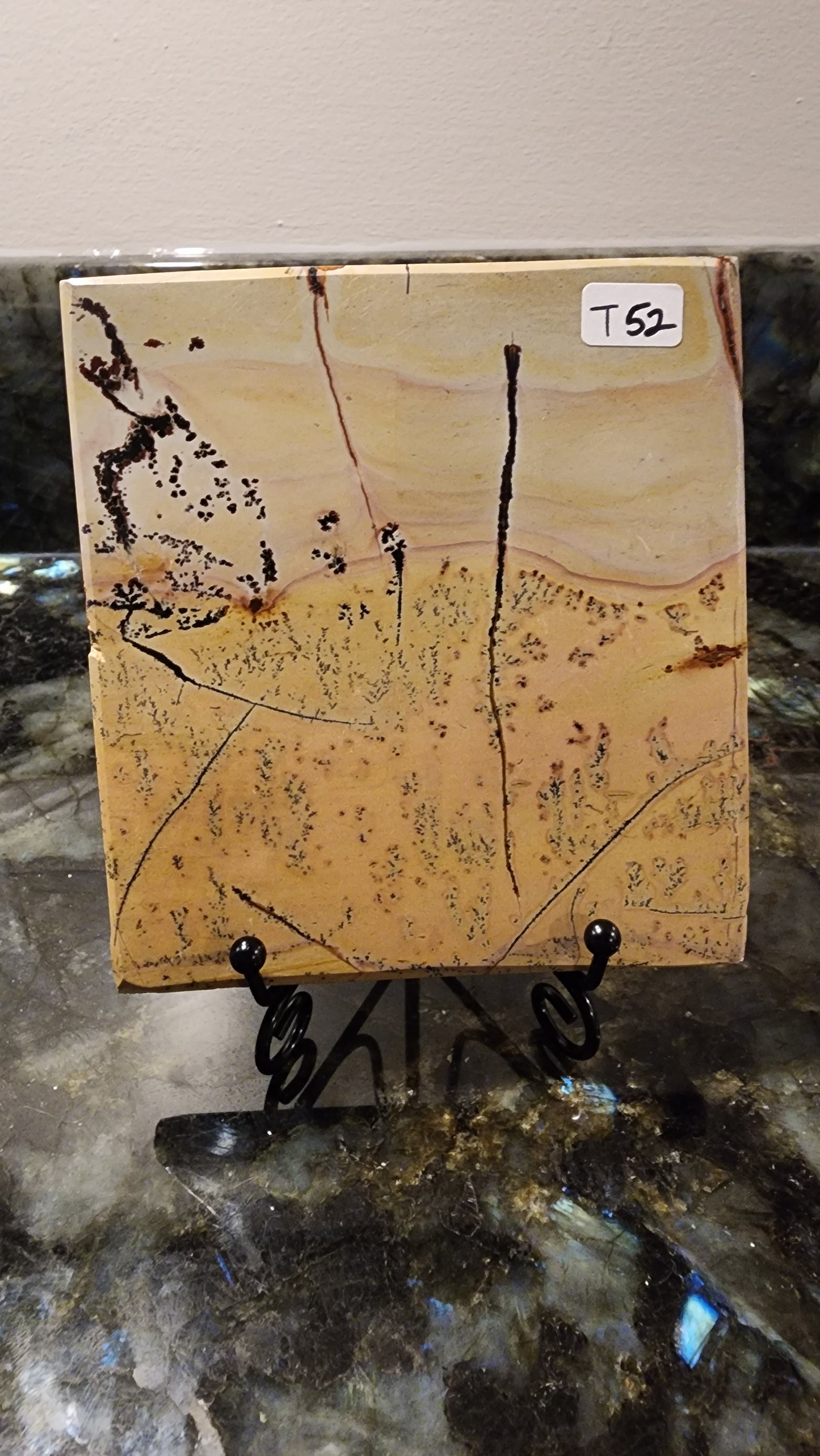 Picture Stone Jasper Slab w Stand T52