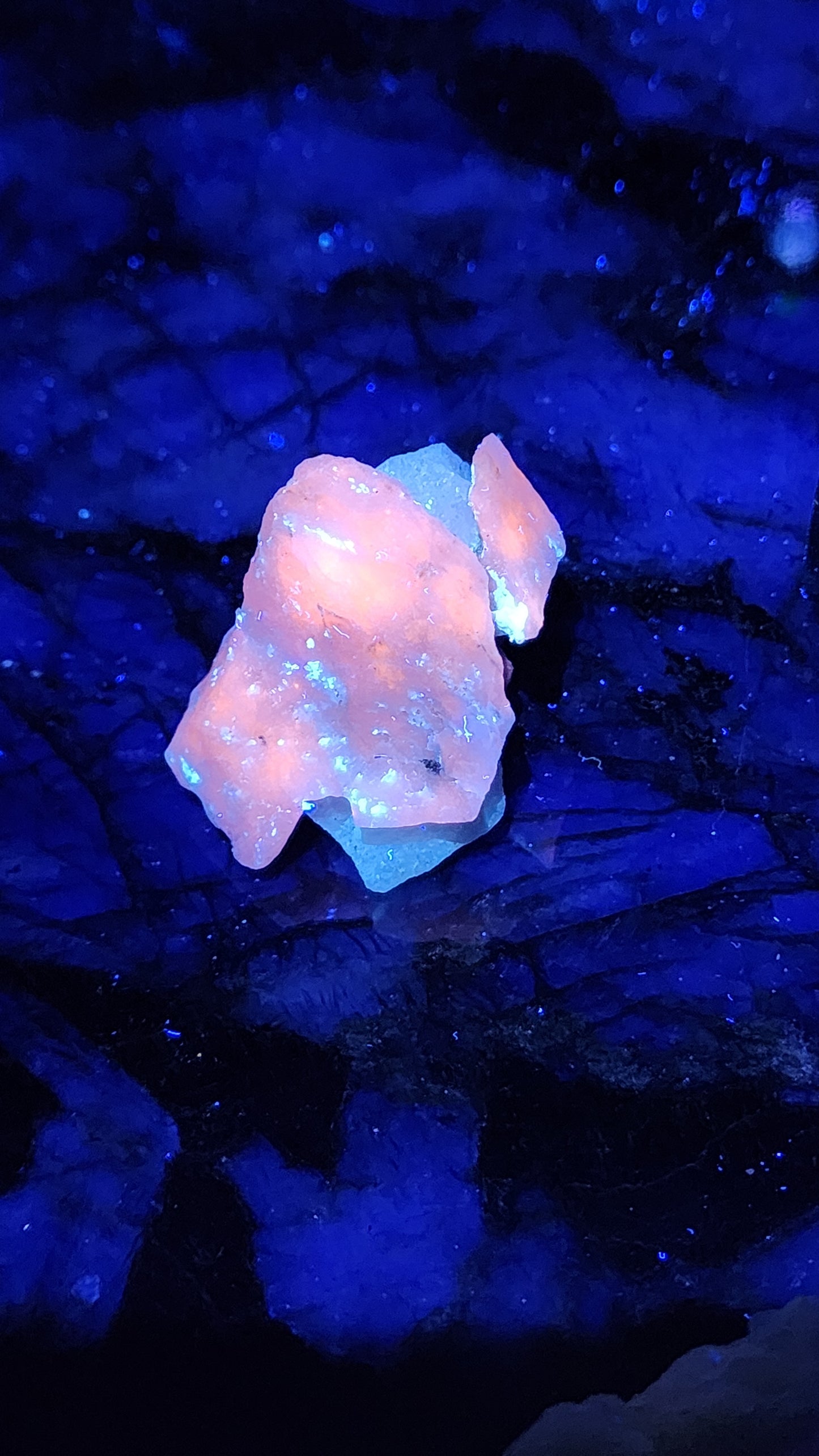 UV Reactive Hackmanite A60