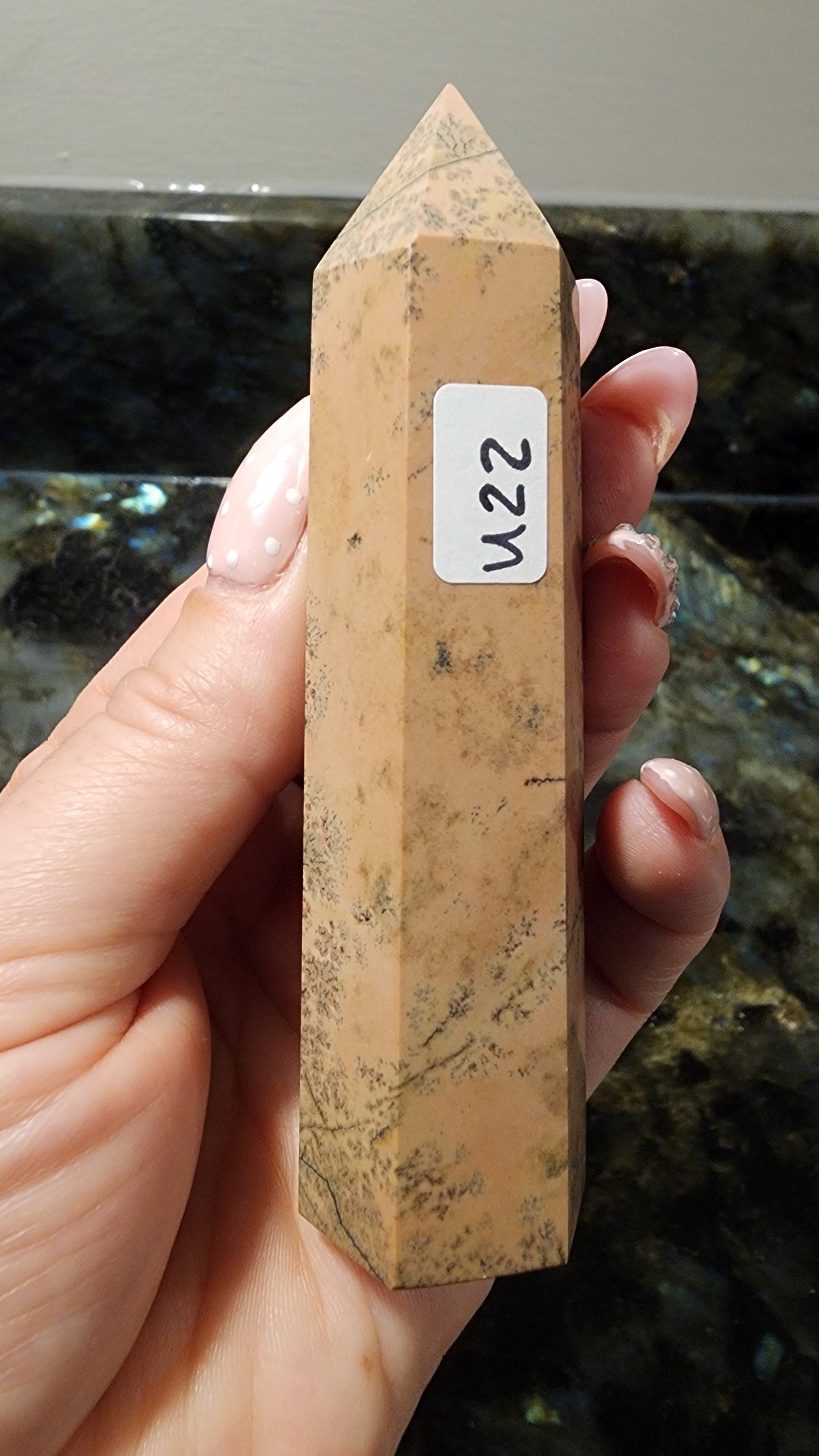 Picture Stone Jasper Tower U22