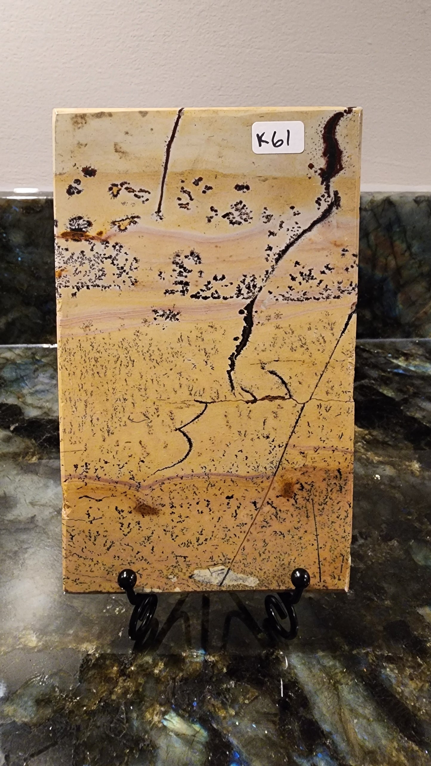 Picture Stone Jasper Slab w Stand K61