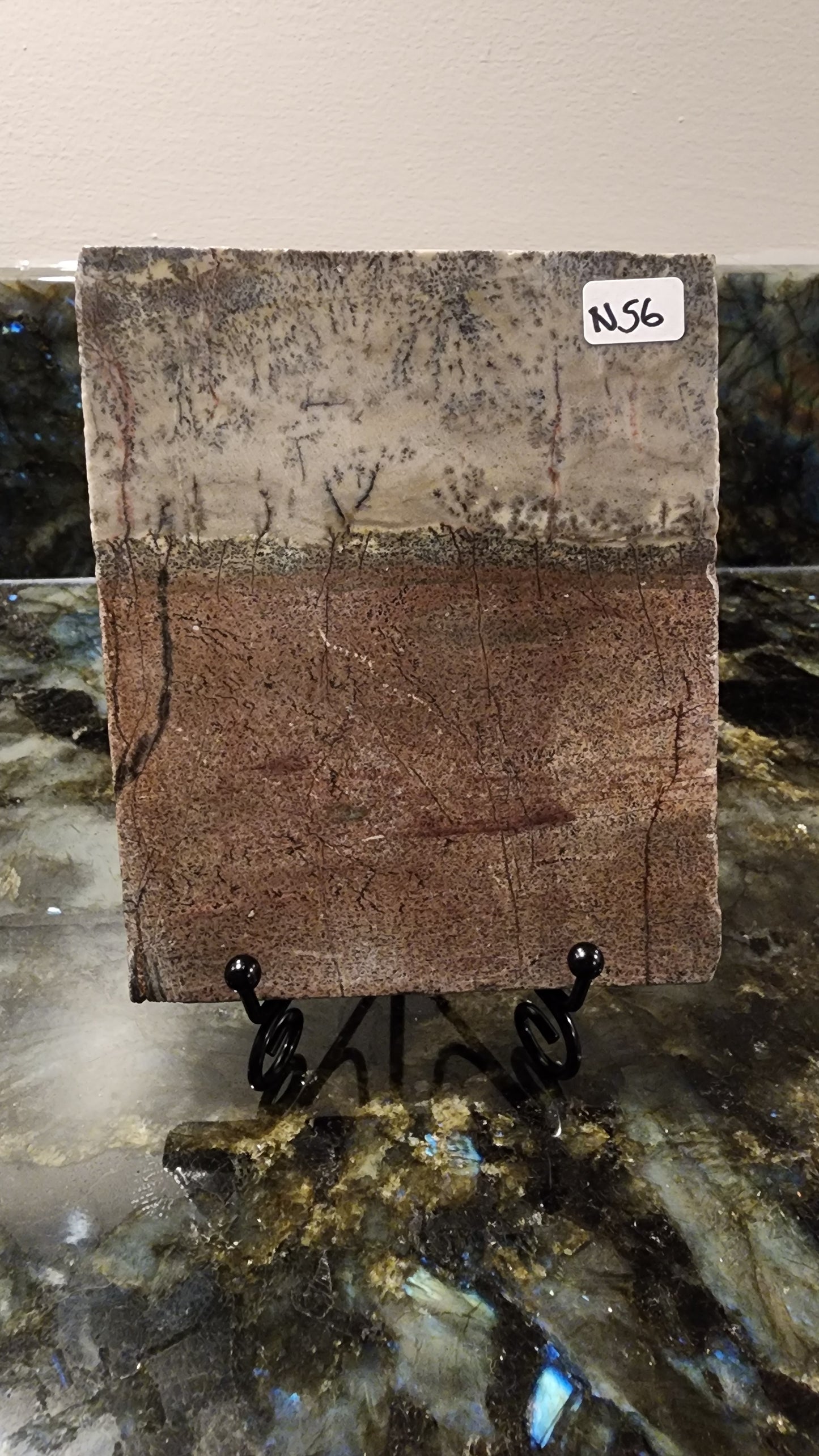 Picture Stone Jasper Slab w Stand N56