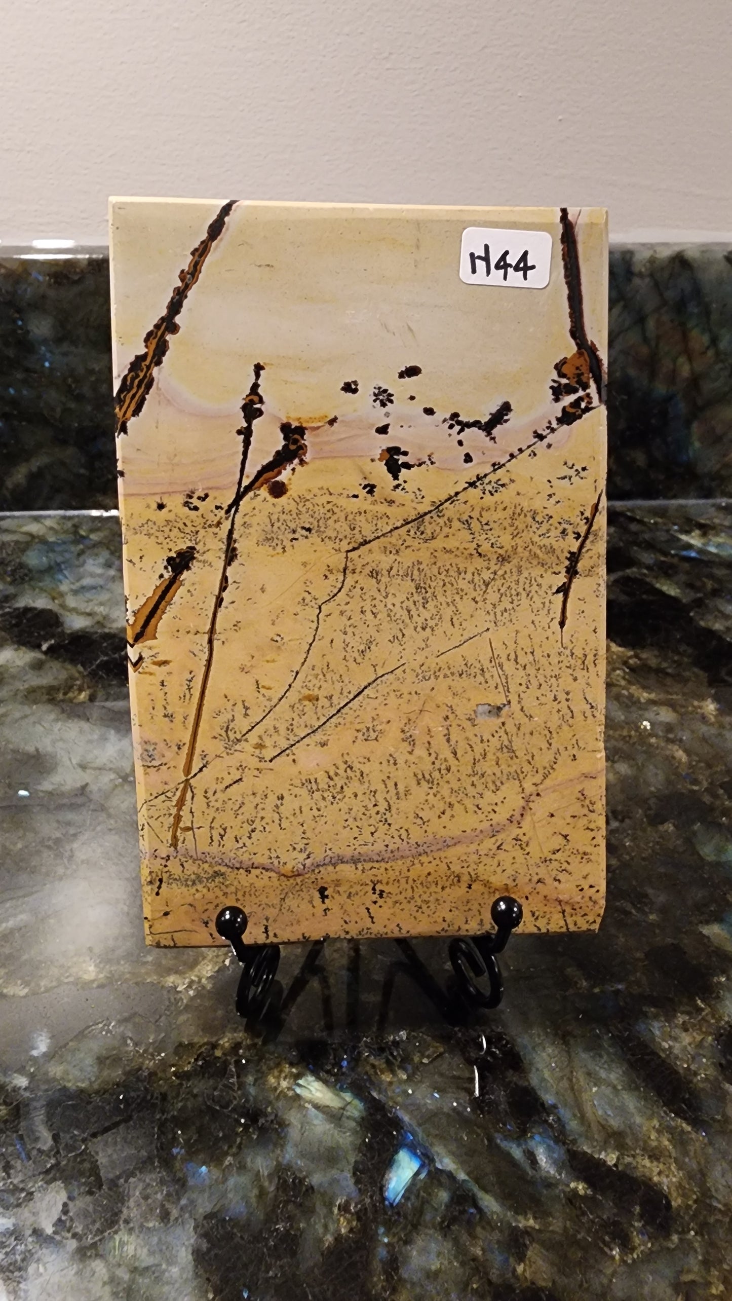 Picture Stone Jasper Slab w Stand H44