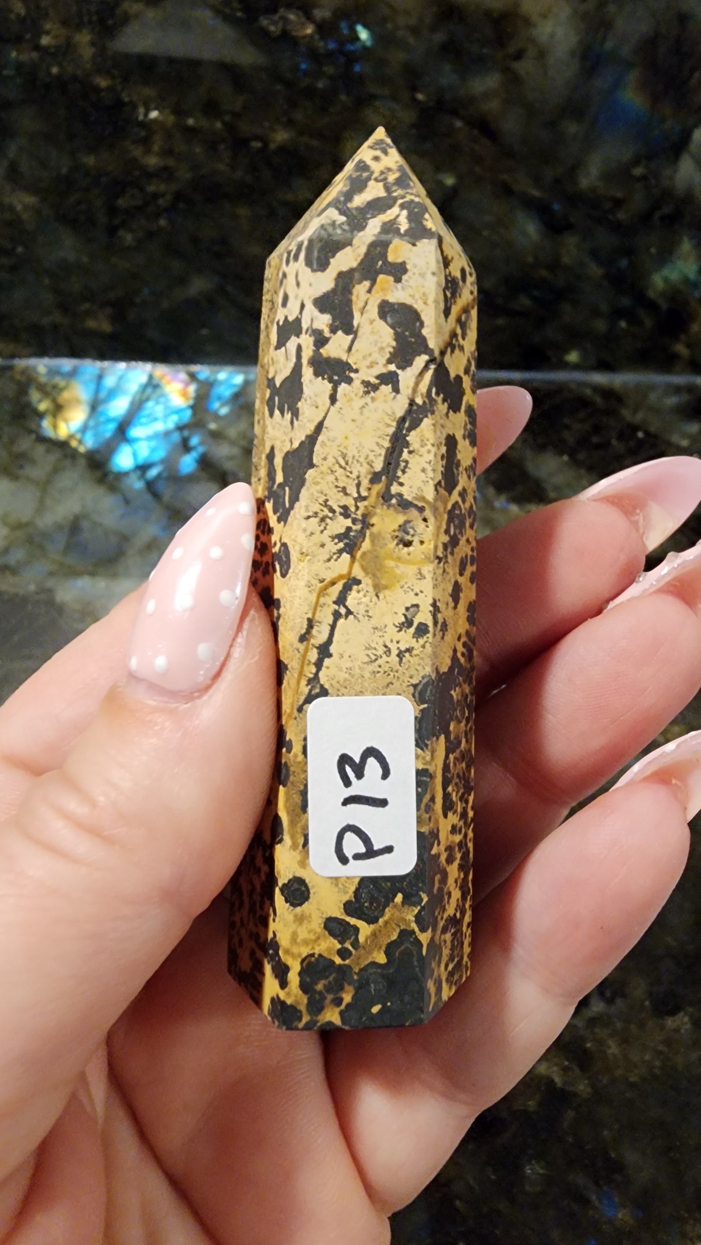 Picture Stone Jasper Tower P13