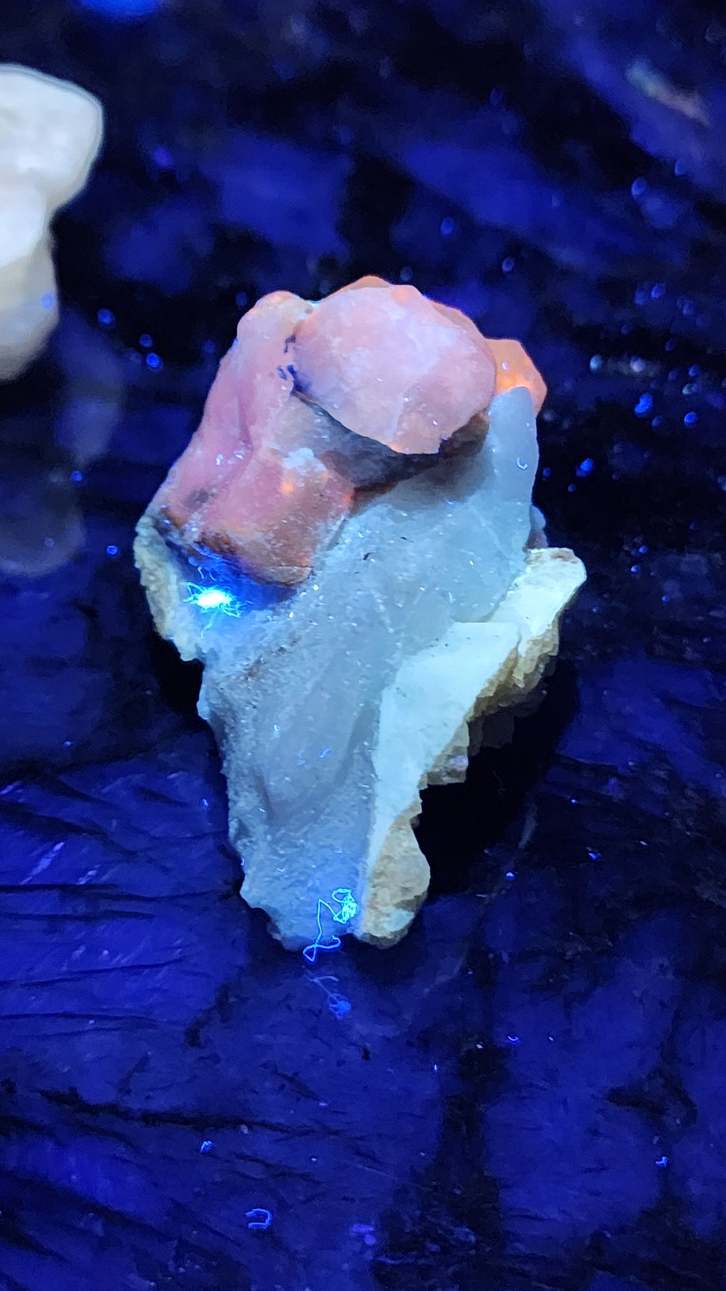 UV Reactive Hackmanite B65