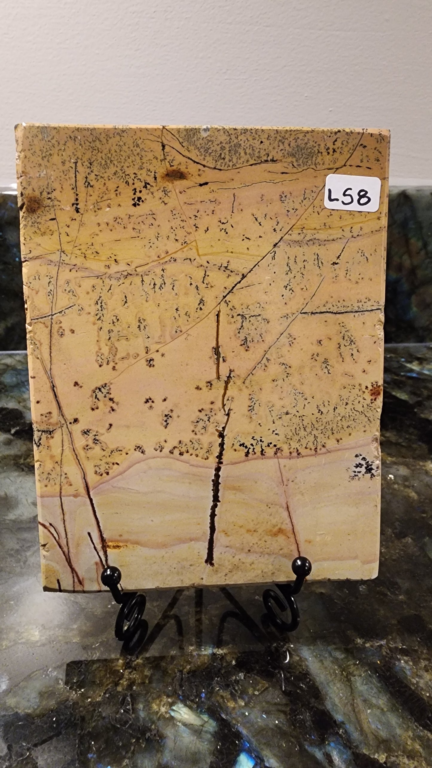 Picture Stone Jasper Slab w Stand L58