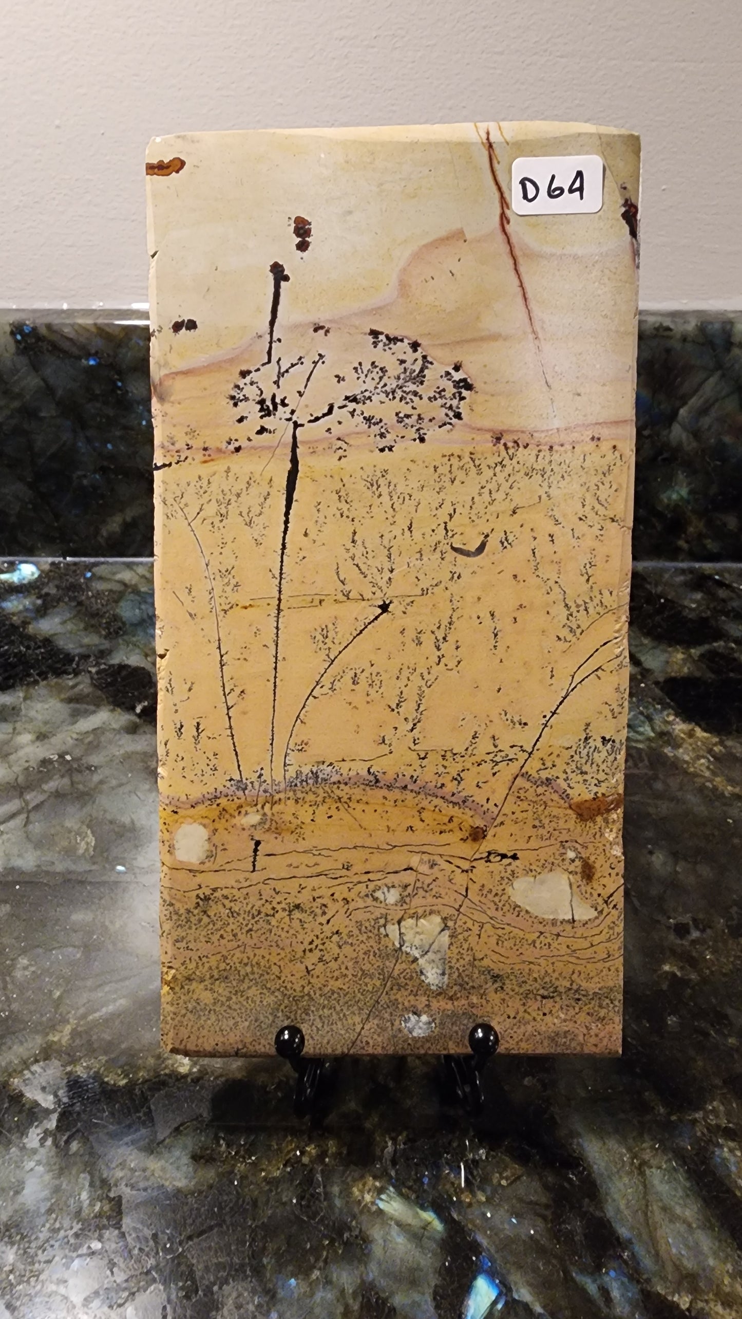 Picture Stone Jasper Slab w Stand D64