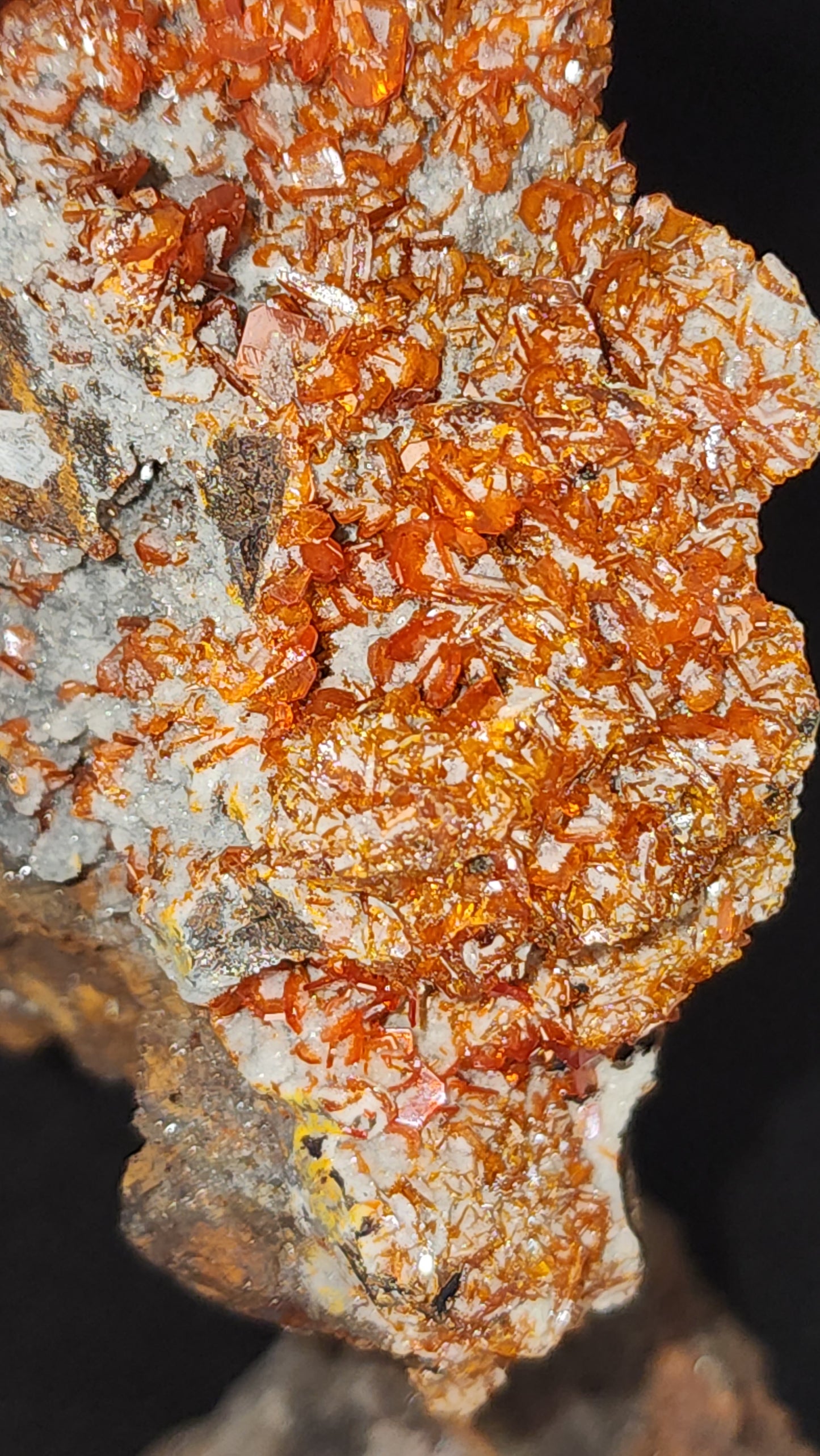 Wulfenite