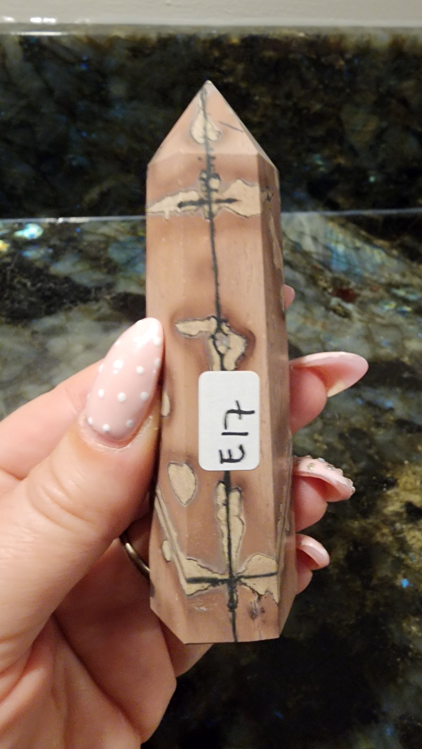 Picture Stone Jasper Tower E17