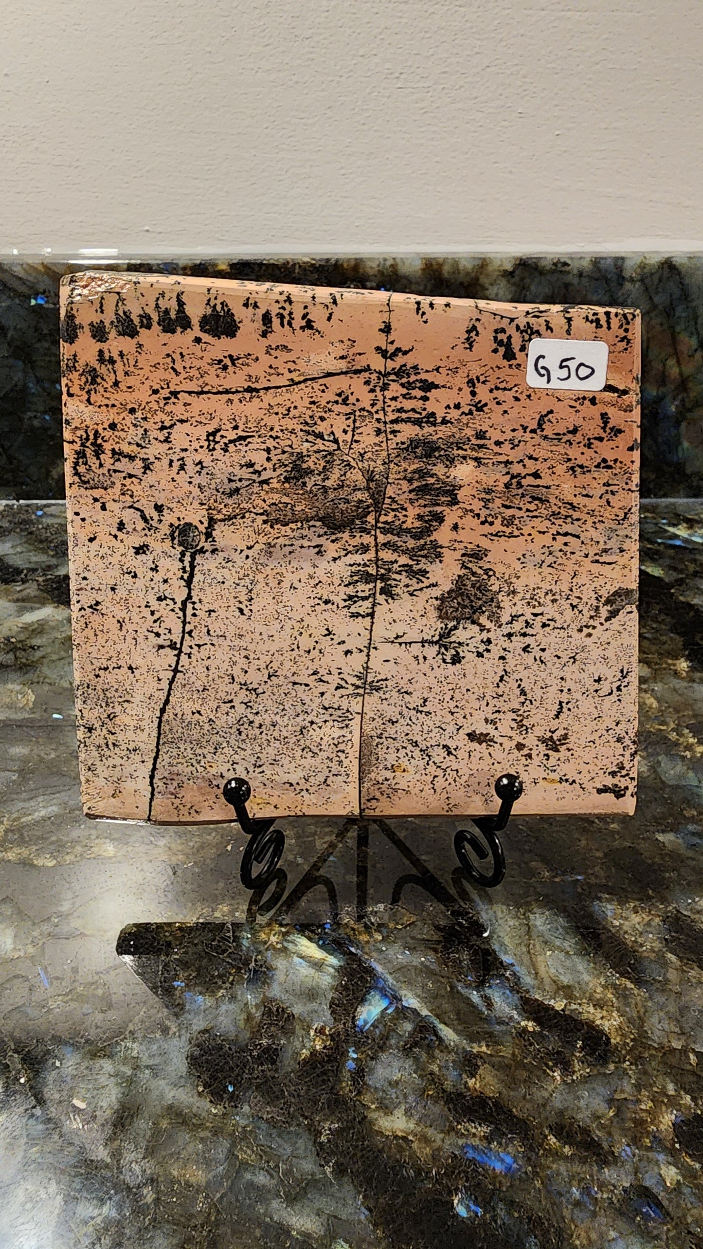 Picture Stone Jasper Slab w Stand G50