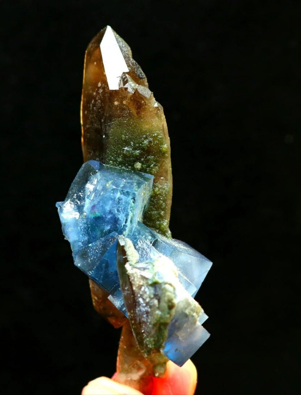 Blue Phantom Cubic Fluorite on Smokey Quartz