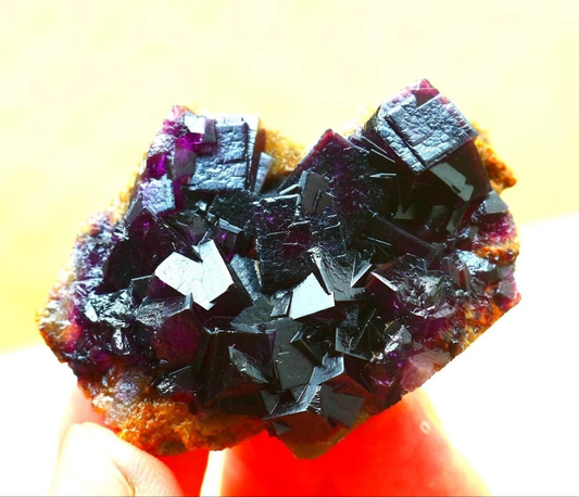 Purple Phantom Cubic Fluorite