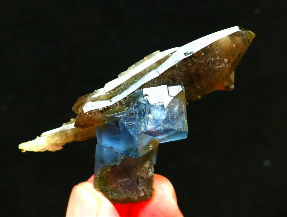 Blue Phantom Cubic Fluorite on Smokey Quartz