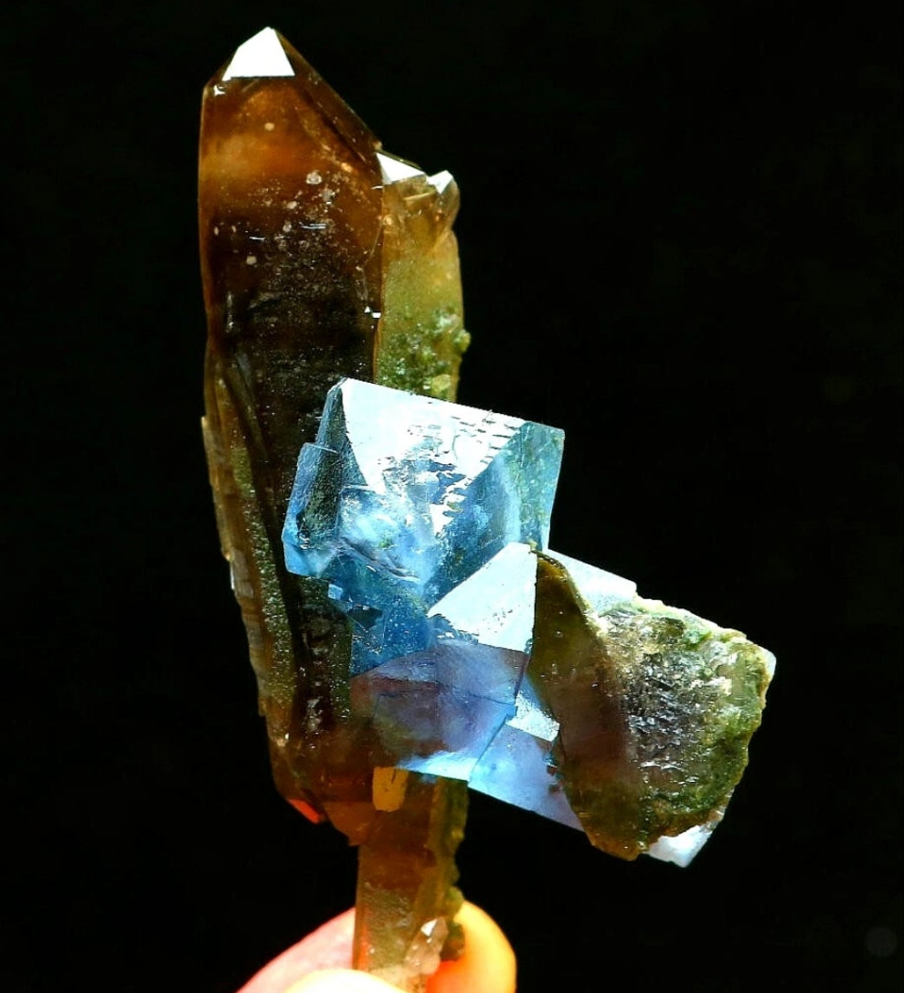 Blue Phantom Cubic Fluorite on Smokey Quartz