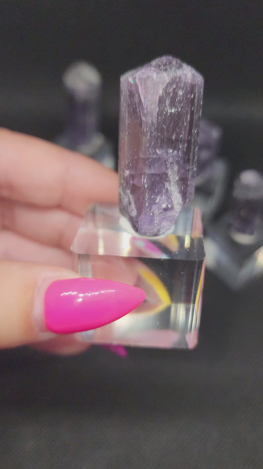 Purple Scapolite