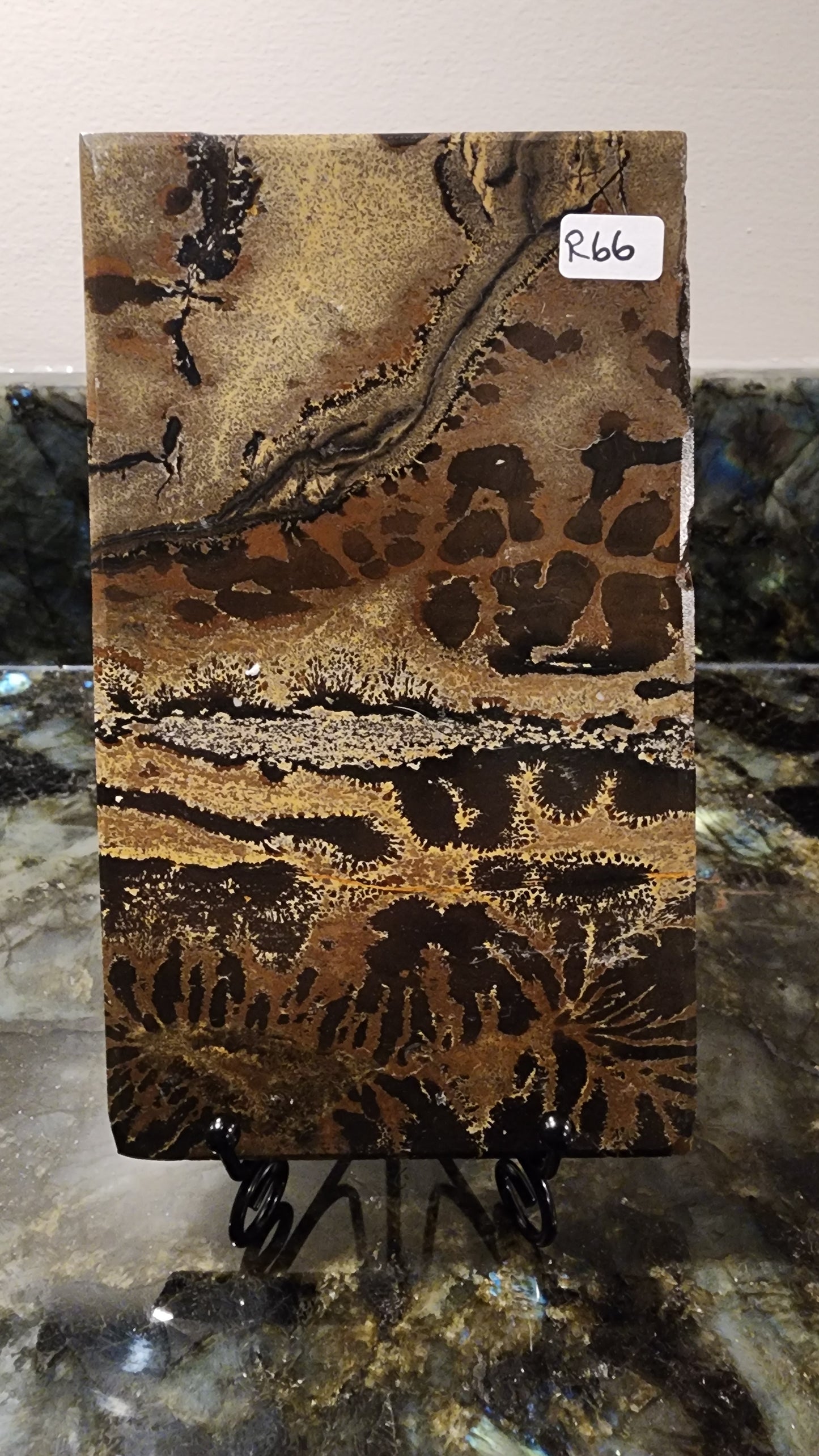 Picture Stone Jasper Slab w Stand R66