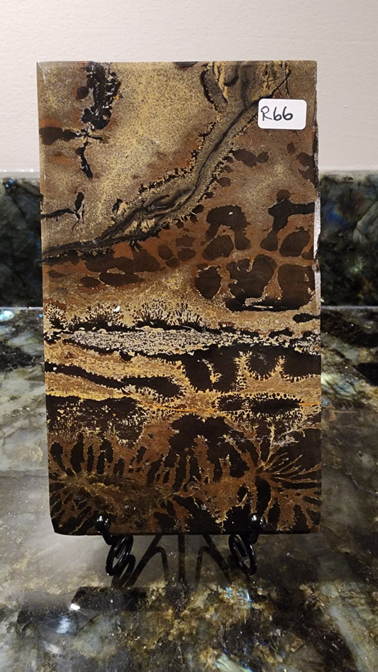 Picture Stone Jasper Slab w Stand R66