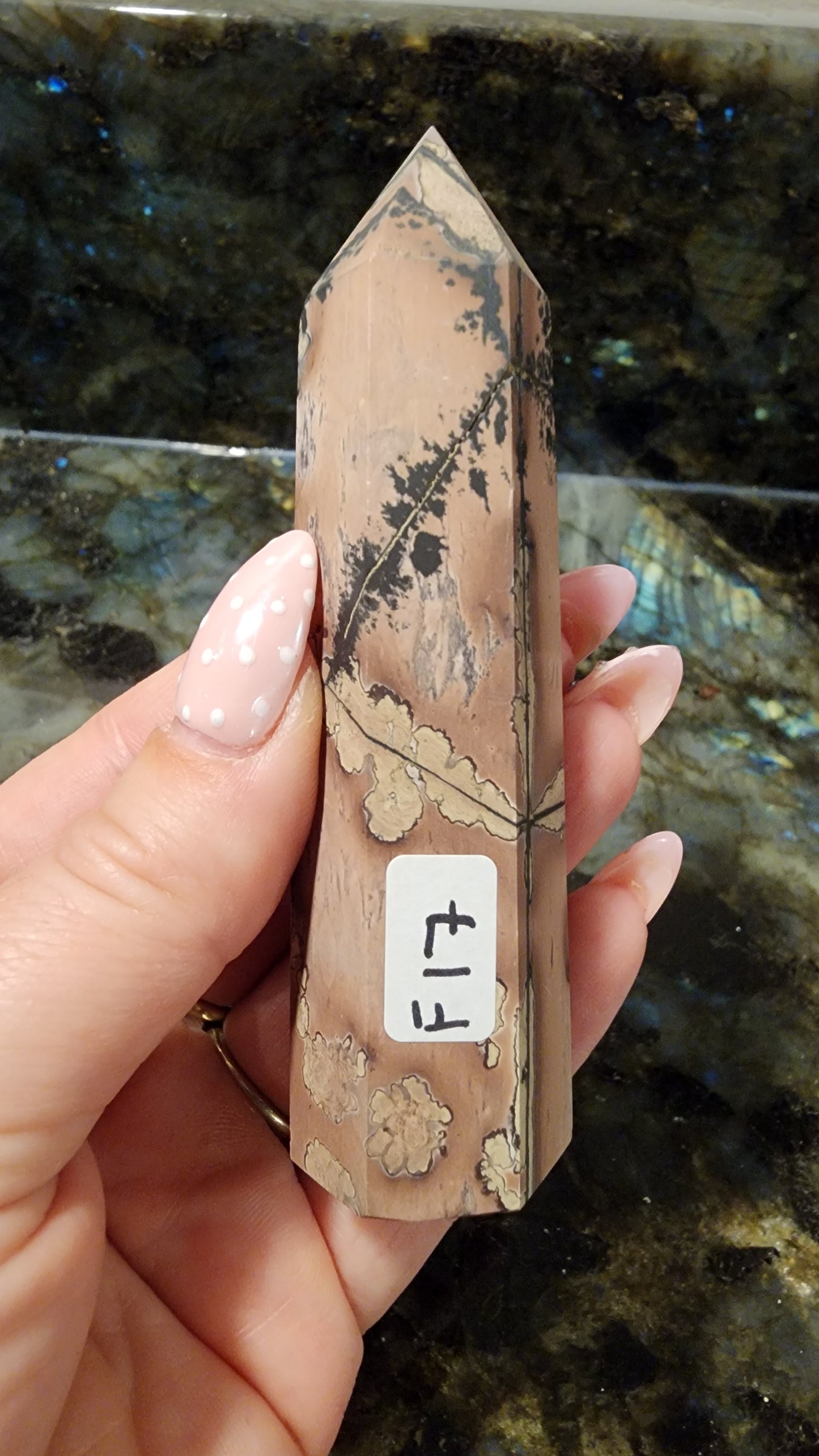 Picture Stone Jasper Tower F17