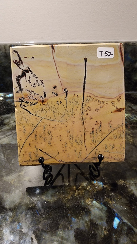 Picture Stone Jasper Slab w Stand T52