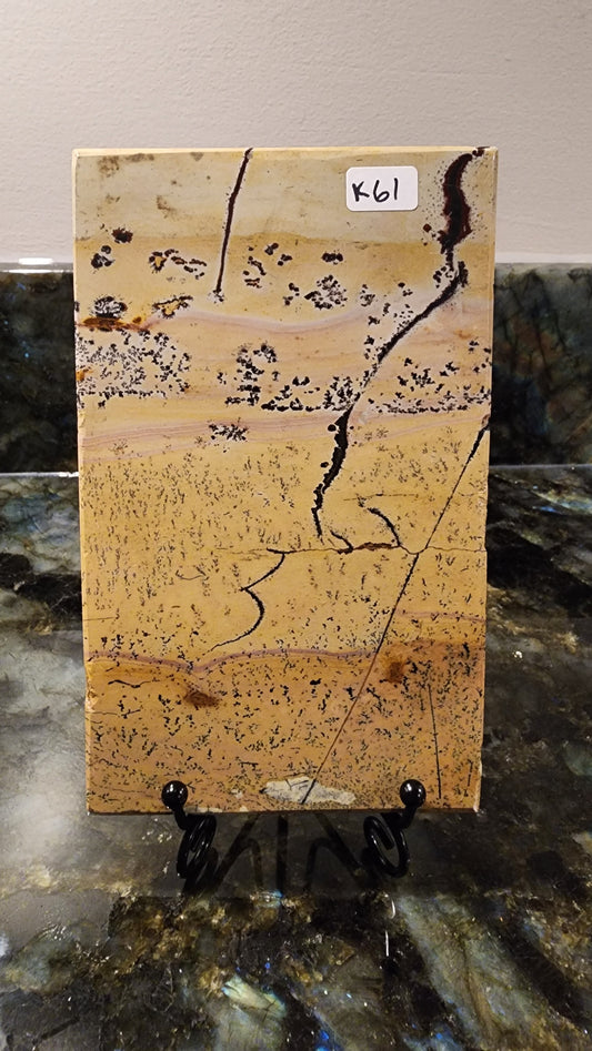 Picture Stone Jasper Slab w Stand K61