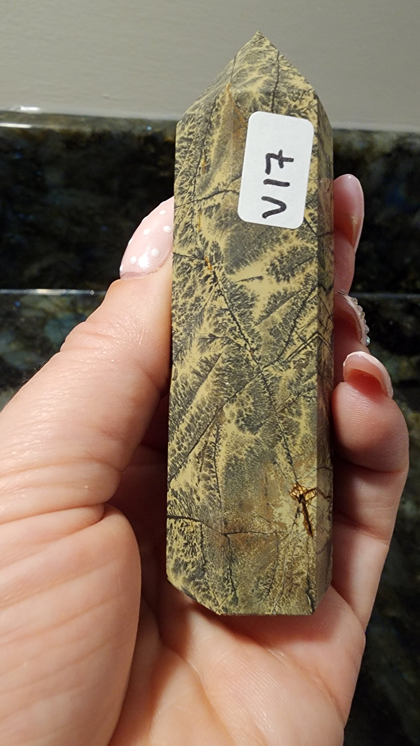 Picture Stone Jasper Tower V17