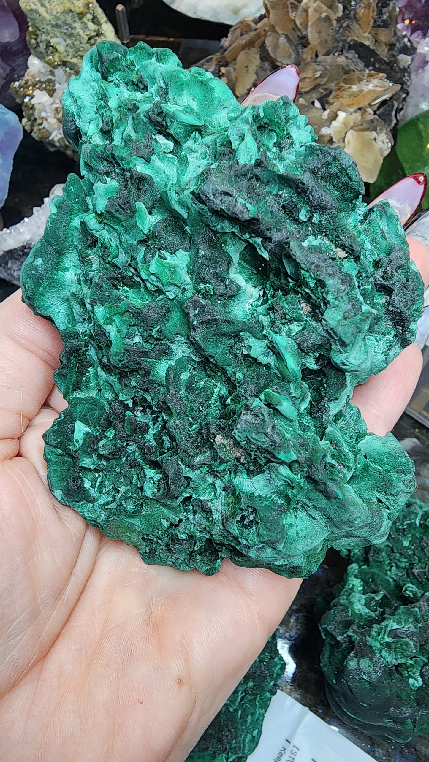 Velvet Malachite Specimen E180