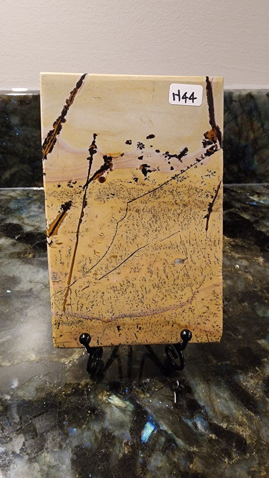 Picture Stone Jasper Slab w Stand H44