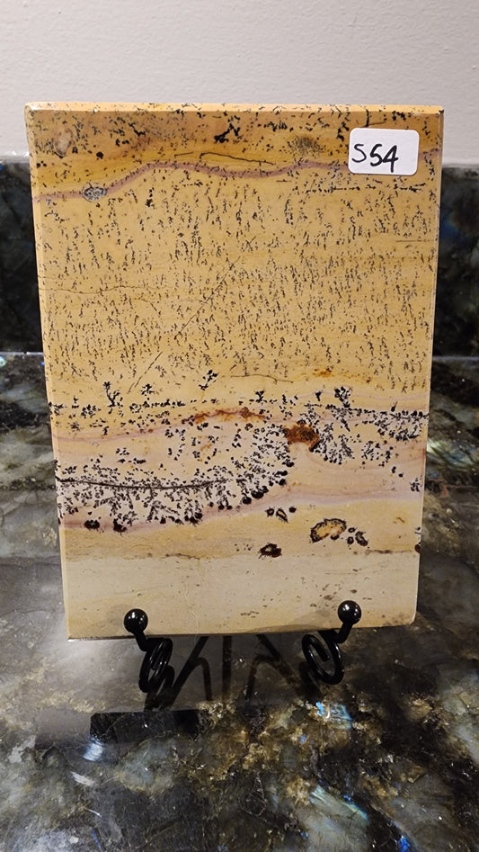 Picture Stone Jasper Slab w Stand S54