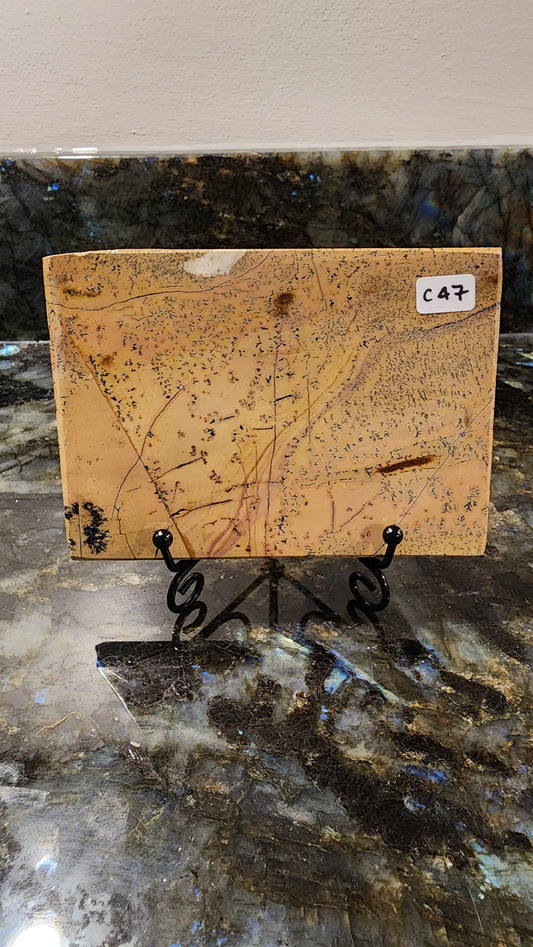 Picture Stone Jasper Slab w Stand C47