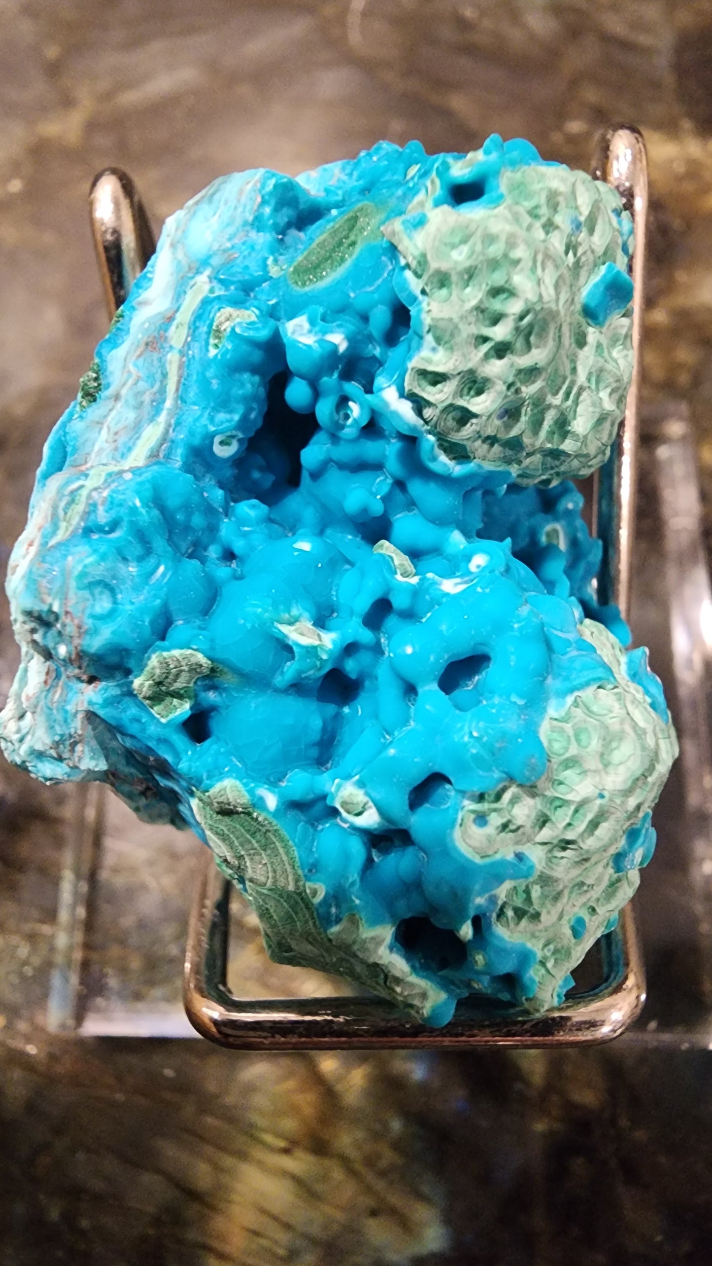 Chrysocolla B65