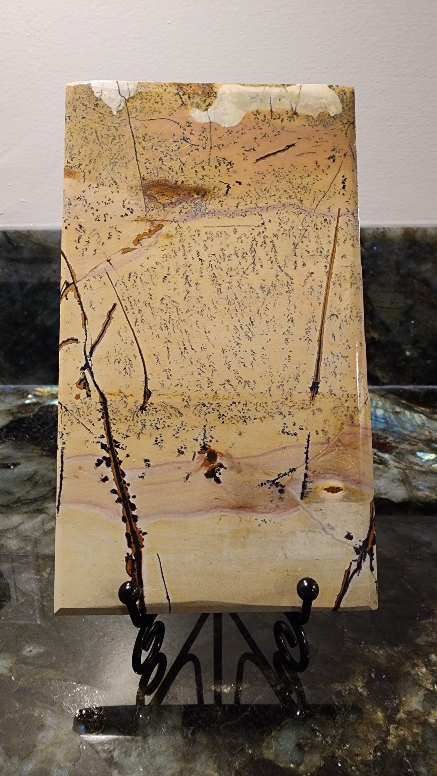 Picture Stone Jasper Slab w Stand