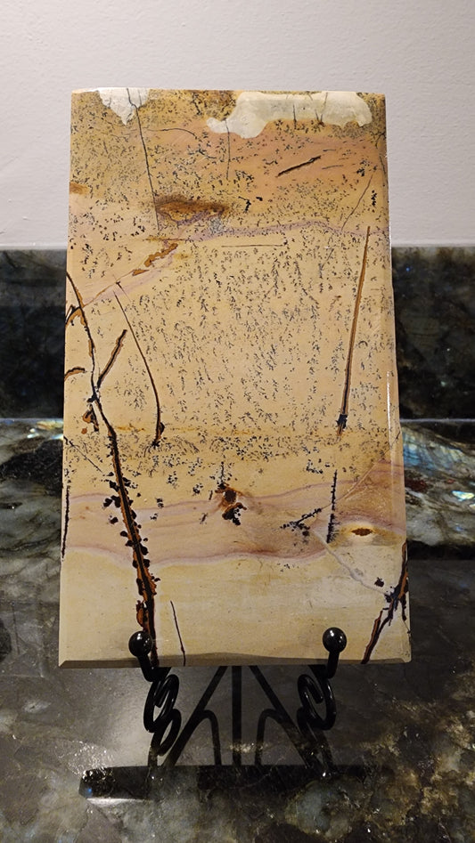 Picture Stone Jasper Slab w Stand