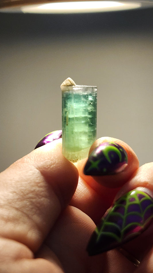 Elbaite Tourmaline