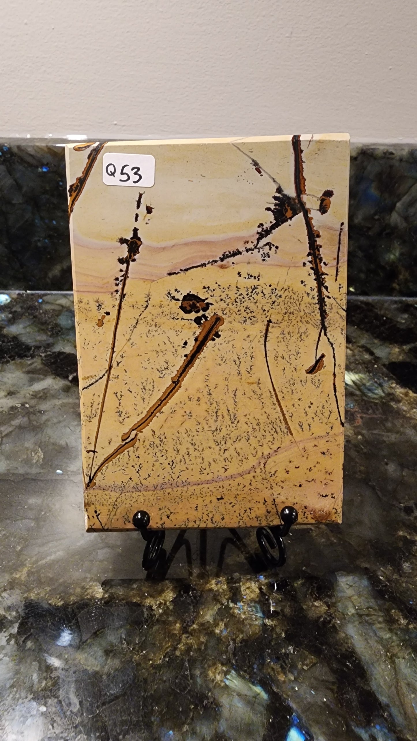 Picture Stone Jasper Slab w Stand Q53