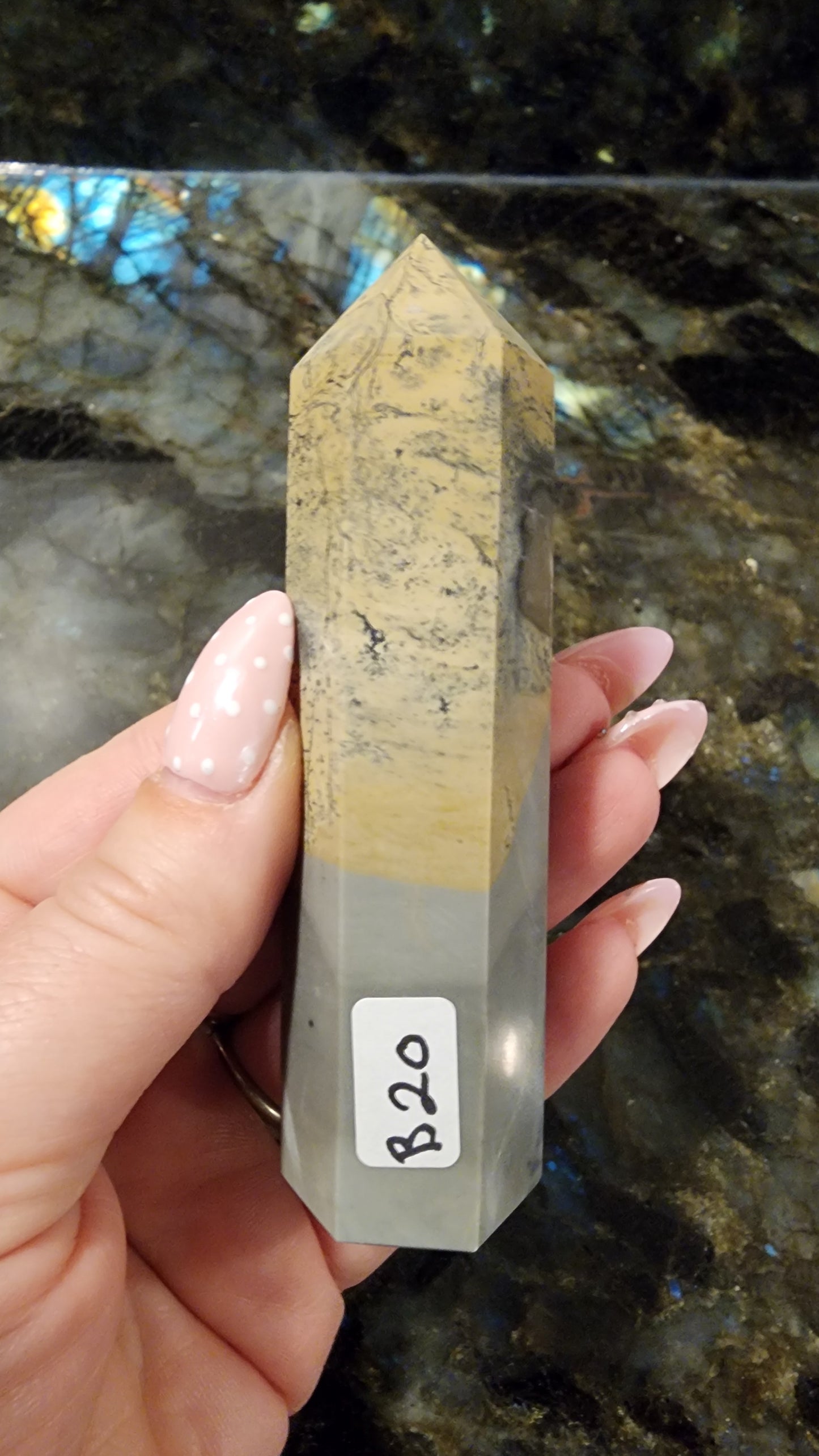 Picture Stone Jasper Tower B20