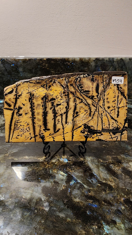 Picture Stone Jasper Slab w Stand M59
