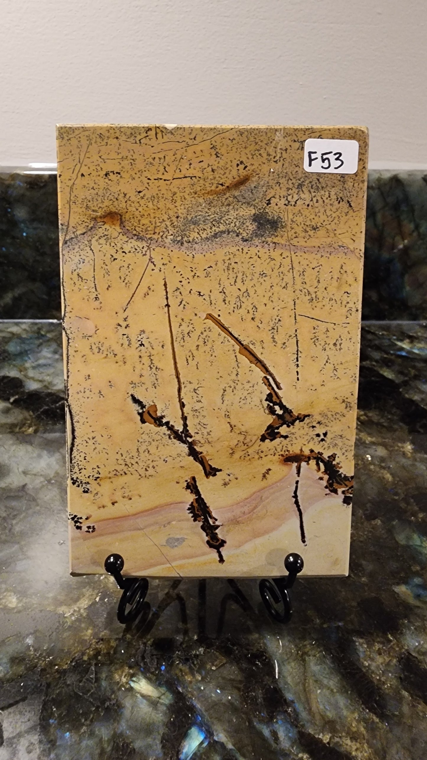 Picture Stone Jasper Slab w Stand F53
