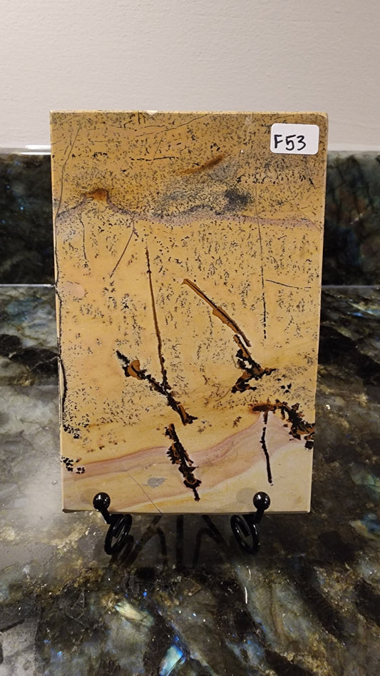 Picture Stone Jasper Slab w Stand F53
