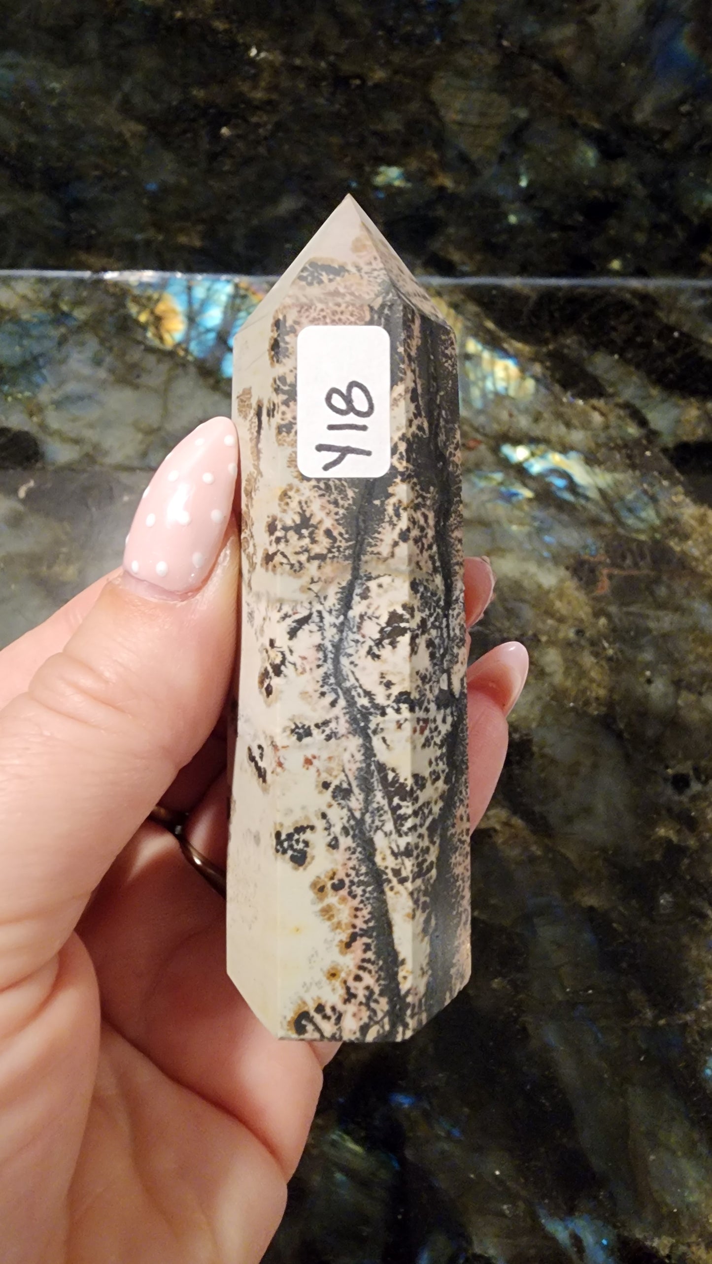 Picture Stone Jasper Tower Y18