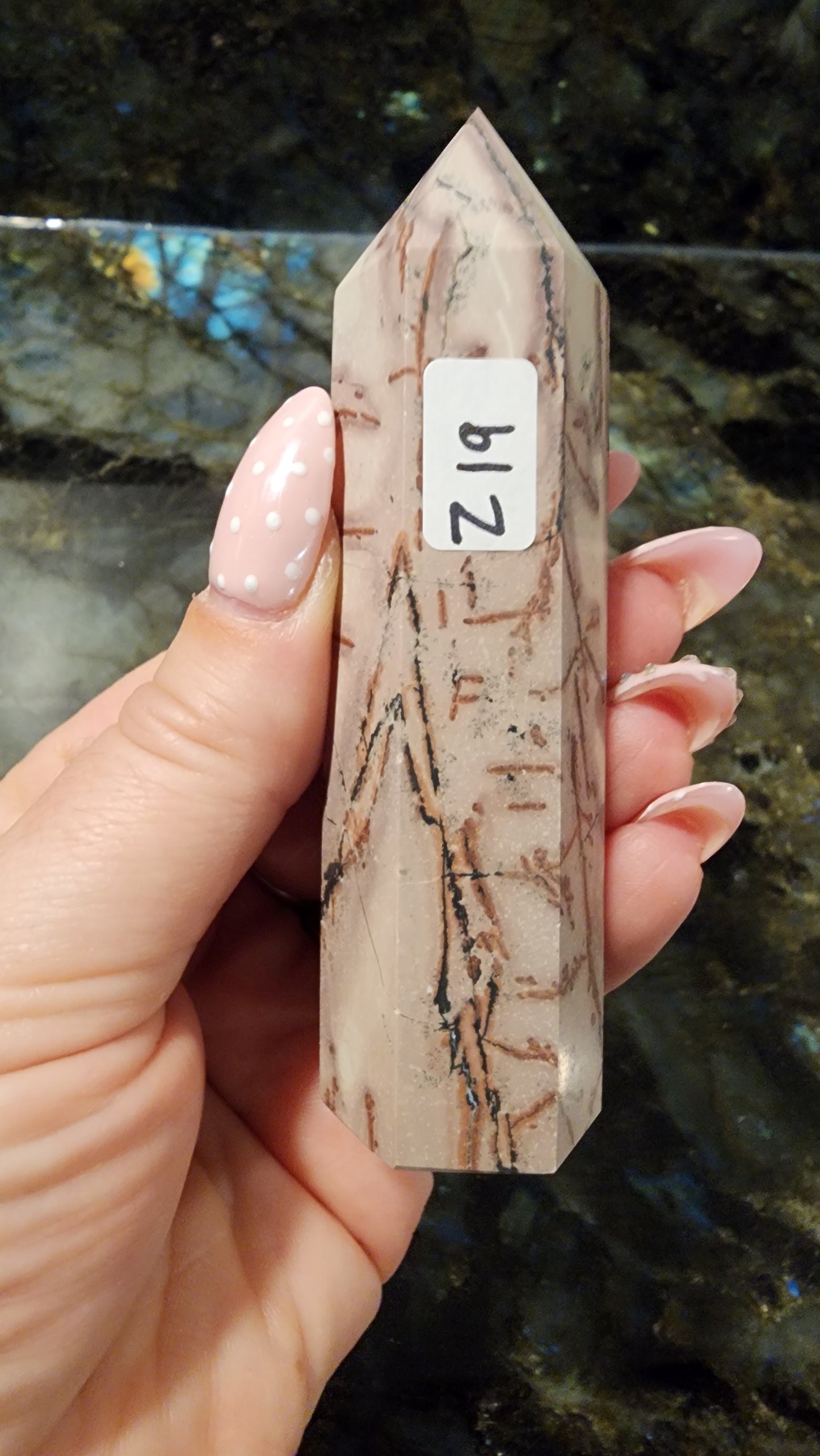 Picture Stone Jasper Tower Z19