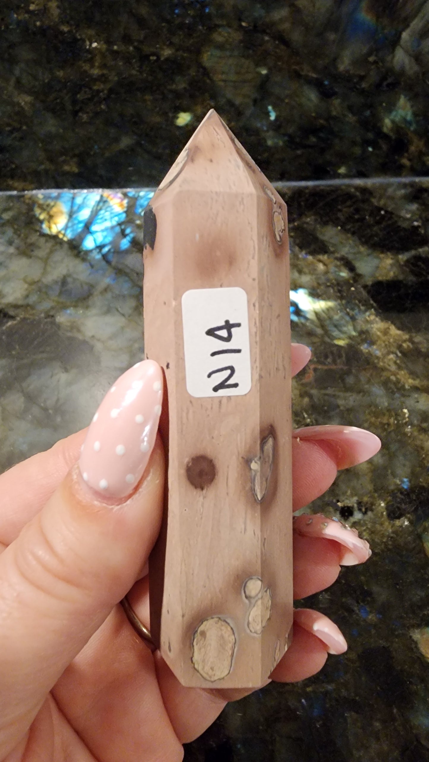 Picture Stone Jasper Tower N14