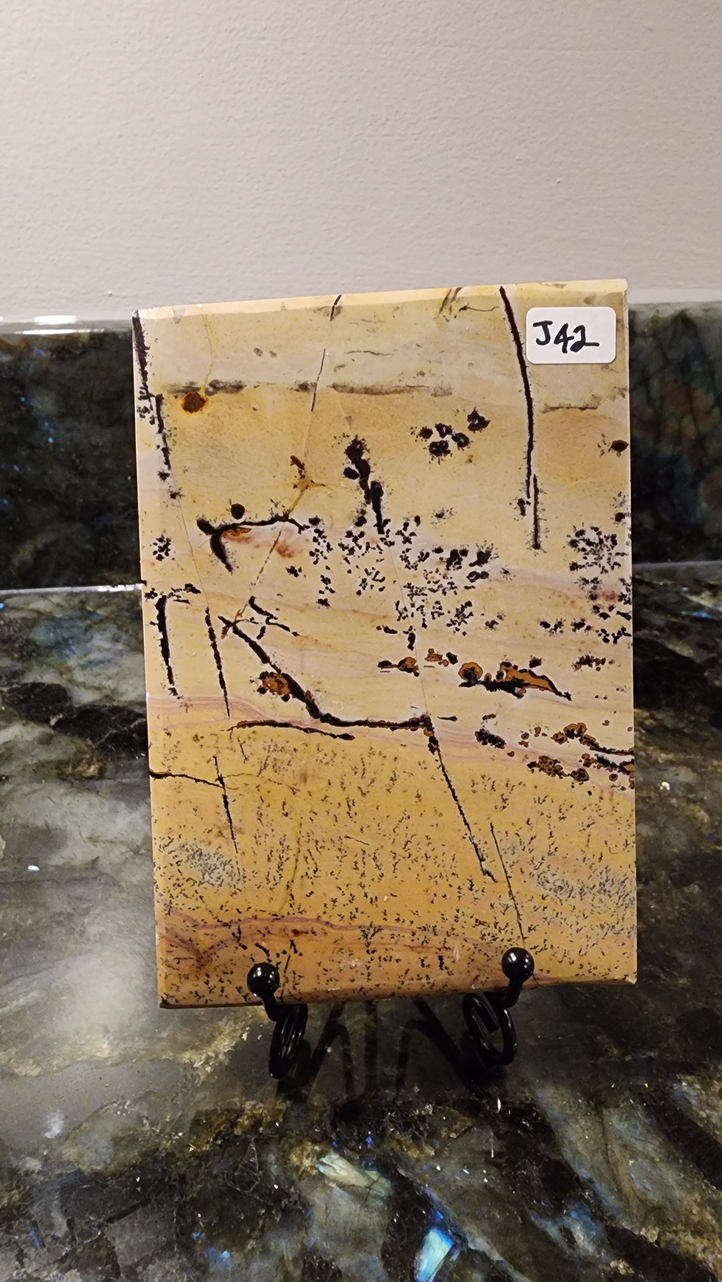 Picture Stone Jasper Slab w Stand J42