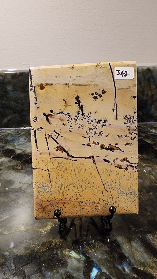 Picture Stone Jasper Slab w Stand J42