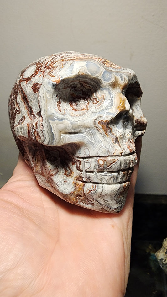 Crazy Lace Agate Skull