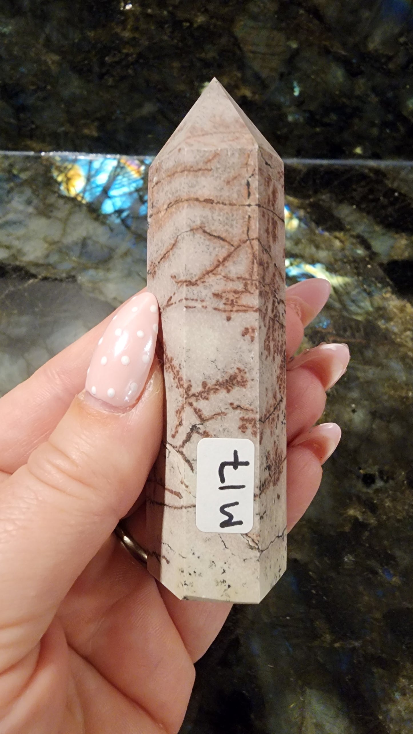 Picture Stone Jasper Tower M17