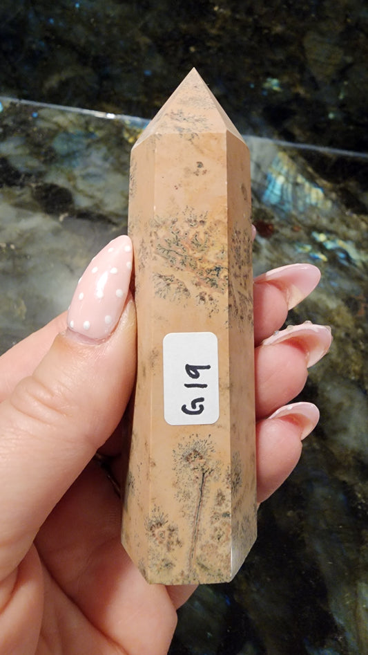 Picture Stone Jasper Tower G19